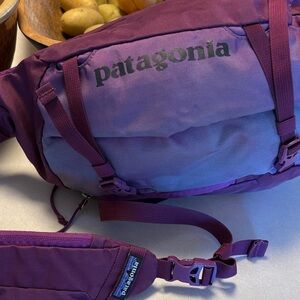 Patagonia Atom Sling Purple